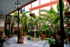 Patio hotel in Córdoba