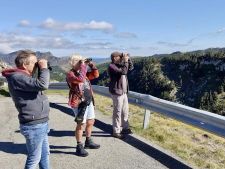 Birdwatchen  met lokale gids Gorka Gorospe