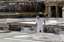 Salinas Araña