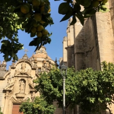Jerez de la Frontera