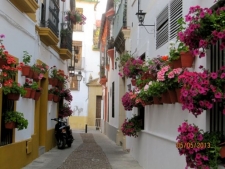 Calle de Flores, Córdoba