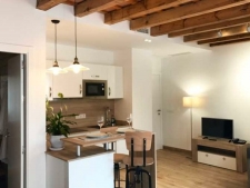 Zolderappartement aan het dakterras