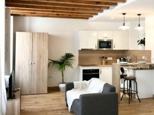 Zolderappartement aan het dakterras