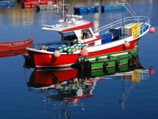 Bootjes