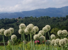 Asturias