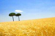 Landscahp Extremadura