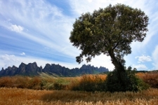 Montserrat