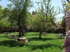 Tuin