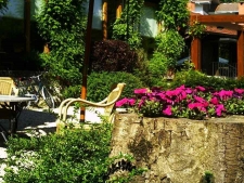 De tuin