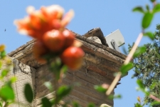 Granada
