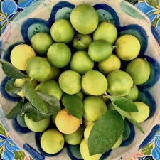Uit eigen tuin