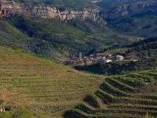 La Vieilla Alta