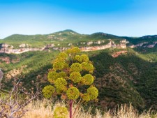 Priorat