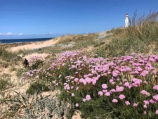 Cabo Trafalgar