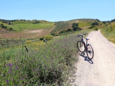2.1 Fietsen op de Via Verde
