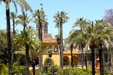 4.5 Tuinen Alcázar Sevilla