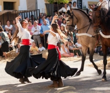 5. Flamenco!