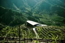 Bodega Ferrer Bobet
