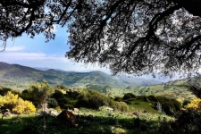 De Alcornocales in Andalusië
