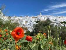 Vejer de la Frontera