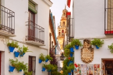 Calle de la Flores Cordoba