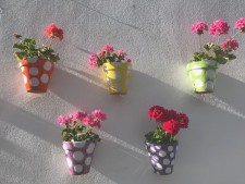 bloempotten