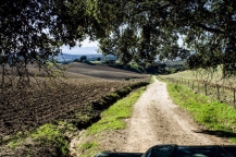 Jeep Excursie bij Ronda