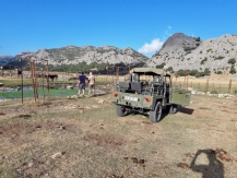 Jeep Excursie bij Ronda