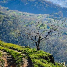 Valle del Jerte