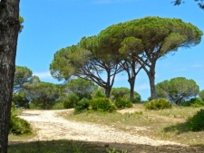 Vejer - Parque Natural de Barbate (1)
