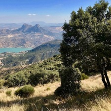 View to El Gastor
