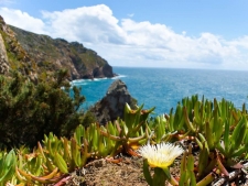 De Costa Vicentina