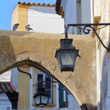 Evora