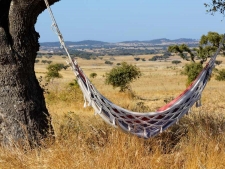 Vakantie vieren...