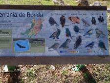 Serrania de Ronda