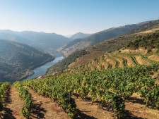 3. Langs de Douro