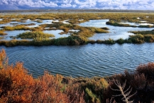 Ria Formosa moerasland