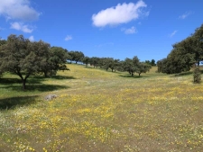 De dehesa - Extremadura