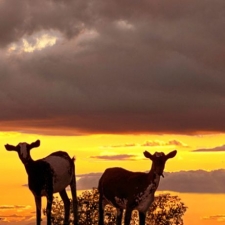 Extremadura