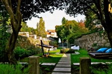 Tuin