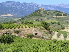 Landschap in La Roja