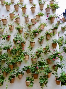 Patio in Córdoba