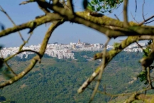 Zicht op Vejer de la Frontera