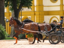 Sevilla