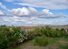 Eindeloze landschappen