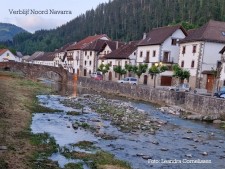 Selva de Irati