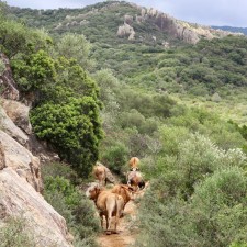 reis-cadiz-alcornocales-wandelen