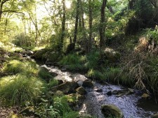 reis-cadiz-rivier-bos-wandelen