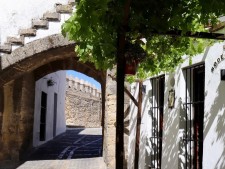 reis-cadiz-vejer-bar-tapa