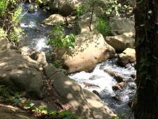 3.-Wandelreis-andalusie-single-alcornocales